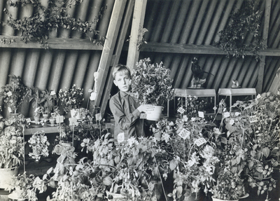 501097 Afbeelding van een schooljongen die een plant toont in het lesgebouwtje bij de schooltuin aan de Baden-Powellweg ...